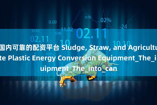 国内可靠的配资平台 Sludge, Straw, and Agricultural Waste Plastic Energy Conversion Equipment_The_into_can